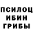 Галлюциногенные грибы Psilocybe xJuicyFruit