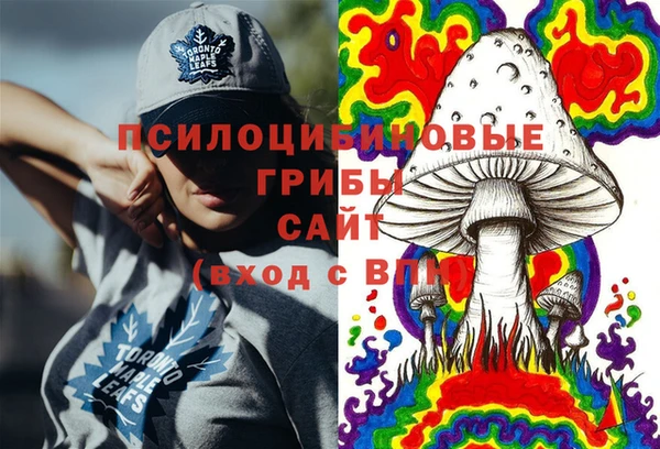 СК Верхний Тагил