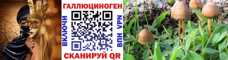 МЕГА рабочий сайт  где купить наркотик  Крым  Псилоцибиновые грибы ЛСД 